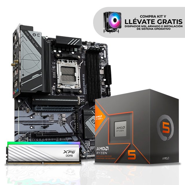 KIT de Procesador AMD Ryzen 5 8600G + Memoria RAM 16GB XPG Lancer Blade DDR5 +  Tarjeta Madre Gigabyte B650 EAGLE AX