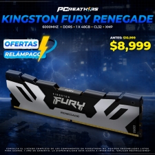OFR031 - Memoria RAM Kingston 48GB